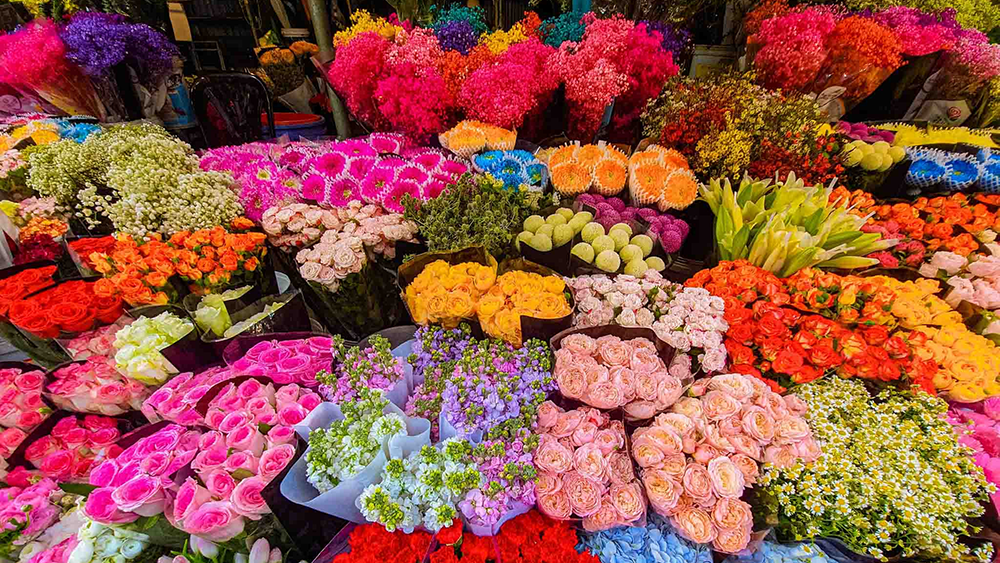 Điểm danh 6 chợ hoa nổi tiếng ở Hà Nội dịp Tết Nguyên đán 2024