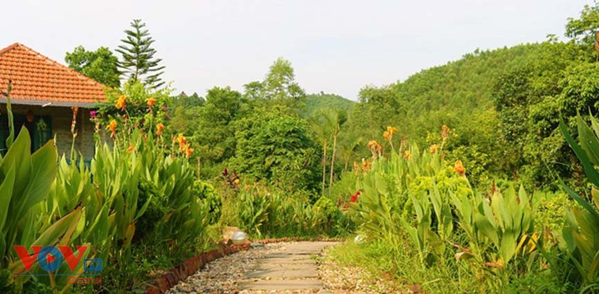 Hidden Hill Resort - Điểm đến lý tưởng để thư giãn gần Hà Nội
