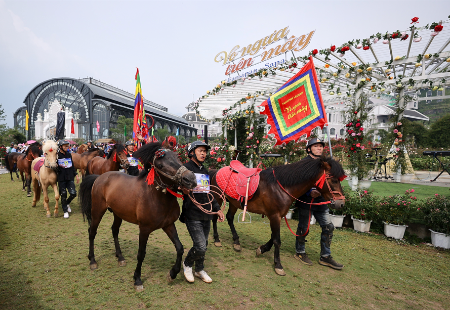 Hấp dẫn giải đua “Vó ngựa trên mây” giữa thung lũng hoa hồng lớn nhất Việt Nam